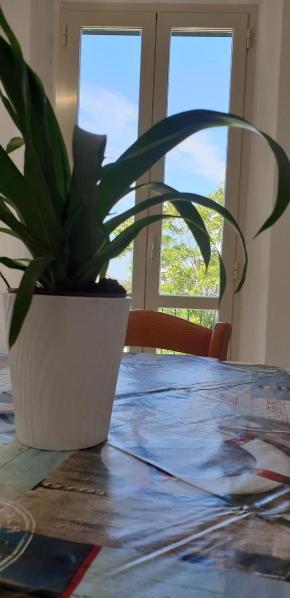Casa Maddi Casa Vacanze Con Vista Mare Vicinissima Al Centro Capoliveri  Εξωτερικό φωτογραφία